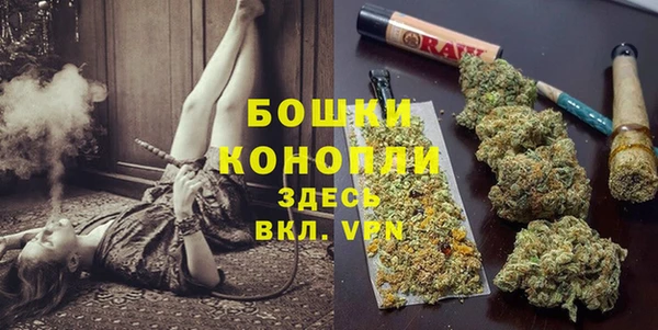 крисы Сатка