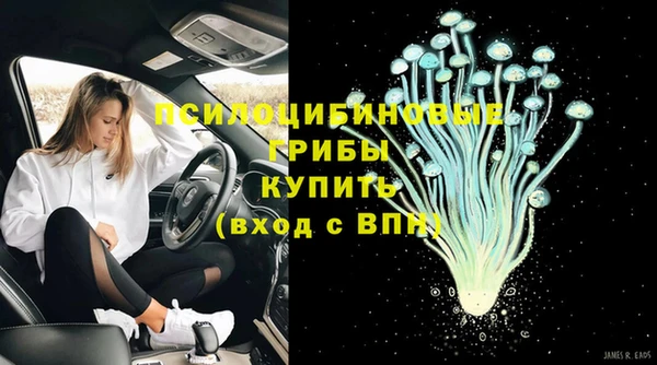 метадон Алексин
